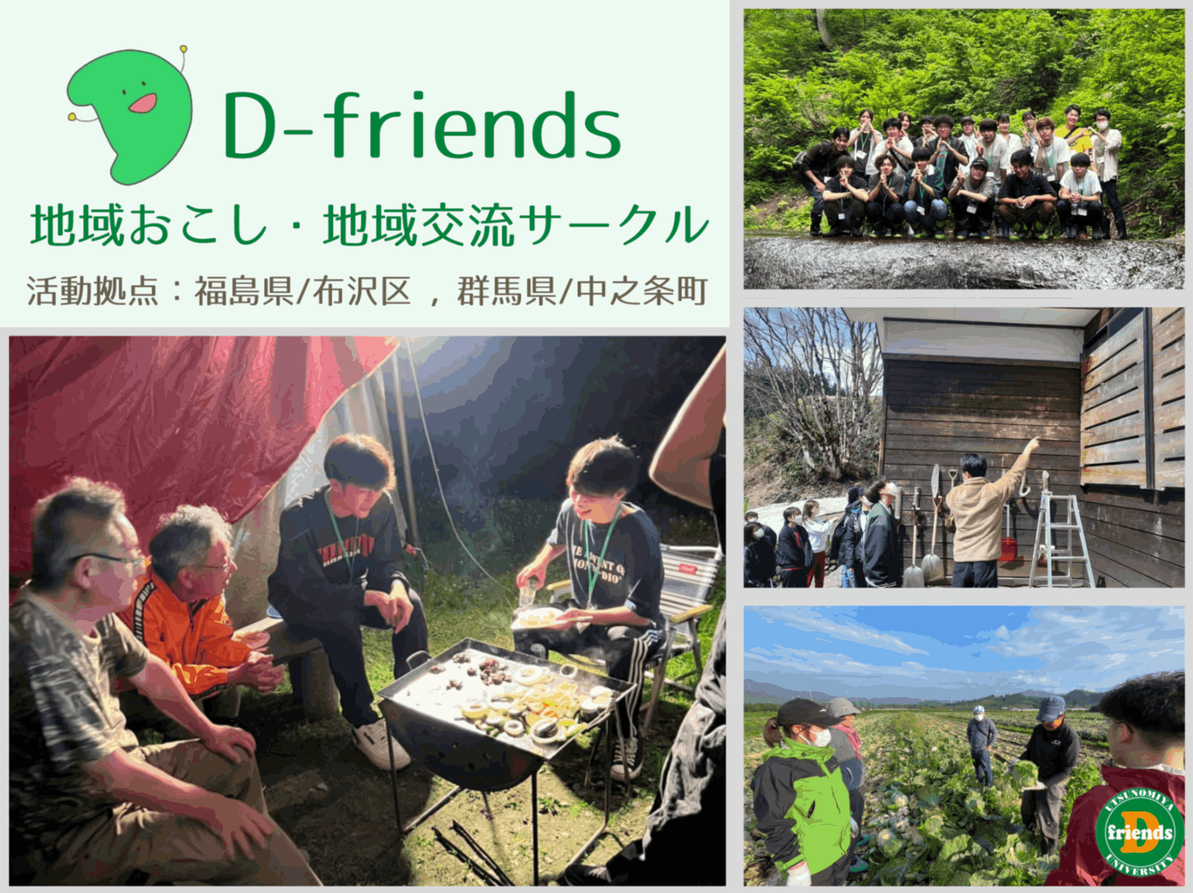 D-friends